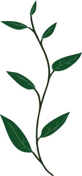 https://pub-static.haozhaopian.net/assets/res/sticker/e7021dc8-181d-45be-acc8-c6d844dceb25_thumb.png