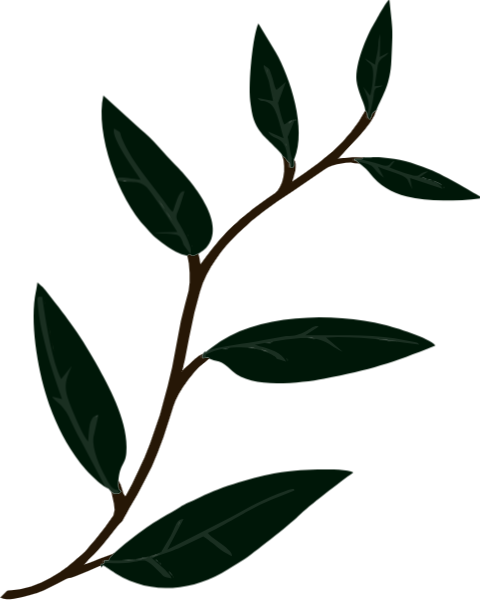 https://pub-static.haozhaopian.net/assets/res/sticker/7f02d97b-e447-4c4c-8165-4fa2c3ab398a_thumb.png
