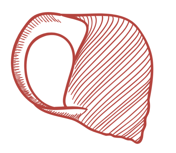 https://pub-static.haozhaopian.net/assets/res/sticker/7d8a3fd8-345a-4e2a-a7d6-84c05e497cd6_thumb.png