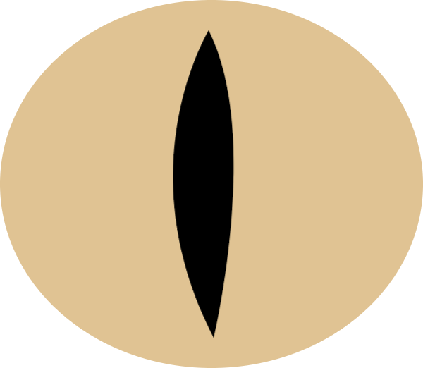 https://pub-static.haozhaopian.net/assets/stickers/hf17/1bd521c8-38d5-4eb9-8718-139eee096918_thumb.png