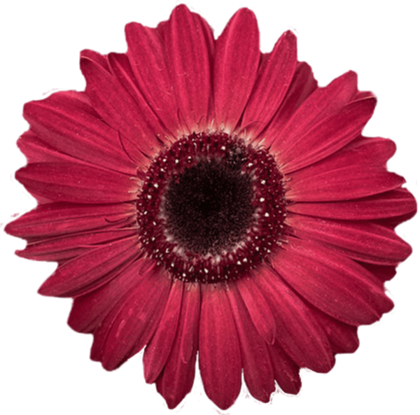 https://pub-static.haozhaopian.net/assets/res/sticker/0f40ba6d-5544-443d-a971-d53d83db7dfc_thumb.png