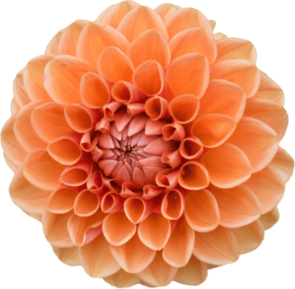 https://pub-static.haozhaopian.net/assets/res/sticker/72a81dad-f3c6-48ca-91e9-ba880631c253_thumb.png