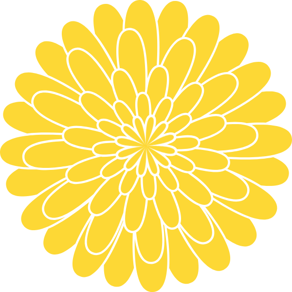 Хризантемы знак. Хризантема символ Японии. Хризантема императора Японии. Желтая Хризантема символ Японии. Золотая Хризантема символ Японии.