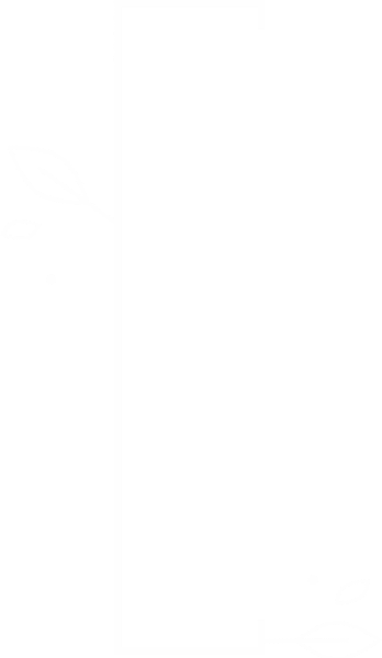 https://pub-static.haozhaopian.net/assets/stickers/zyw_49/32fa3862-7f1d-4984-b307-ea13de147c3f_thumb.png