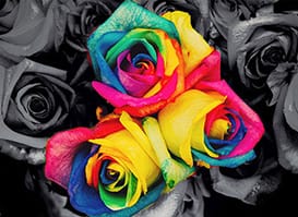 Change Hair Color Online Free Photo Editor Free